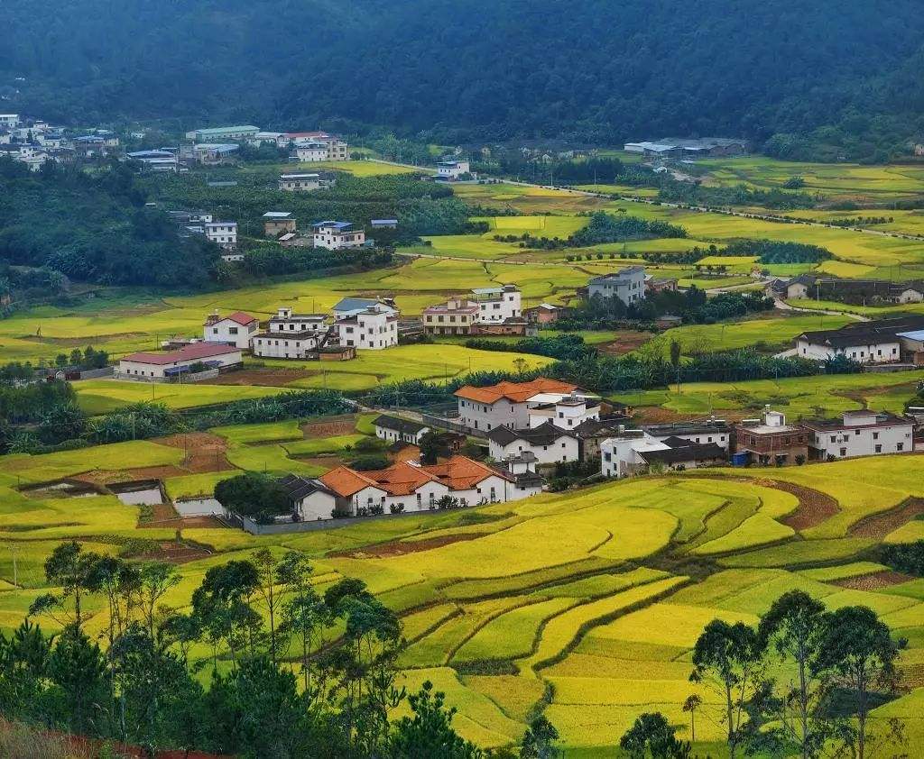 ▶最新资讯: 记录亚洲的自然之美‖城市与乡村→心灵之旅·全景探寻