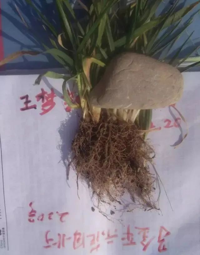 ‖最新资讯‖突发‖最新‖最值得收藏‖最新攻略