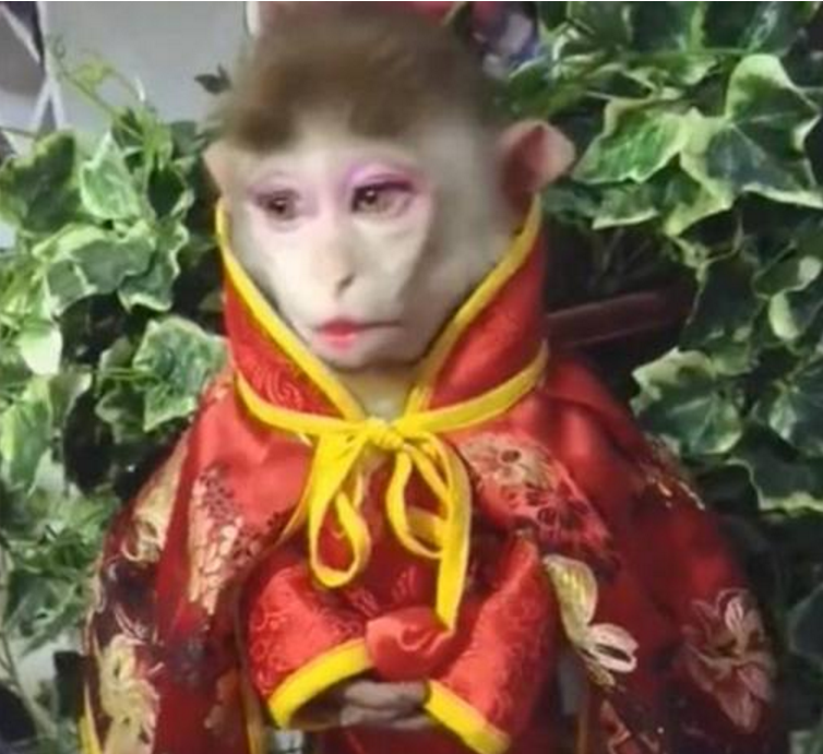 ▶首曝奇迹,1 美女与男生 