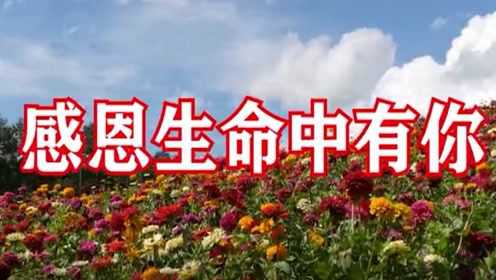 ▶最新家庭感悟|秘籍 用心生活,珍藏每一个瞬间